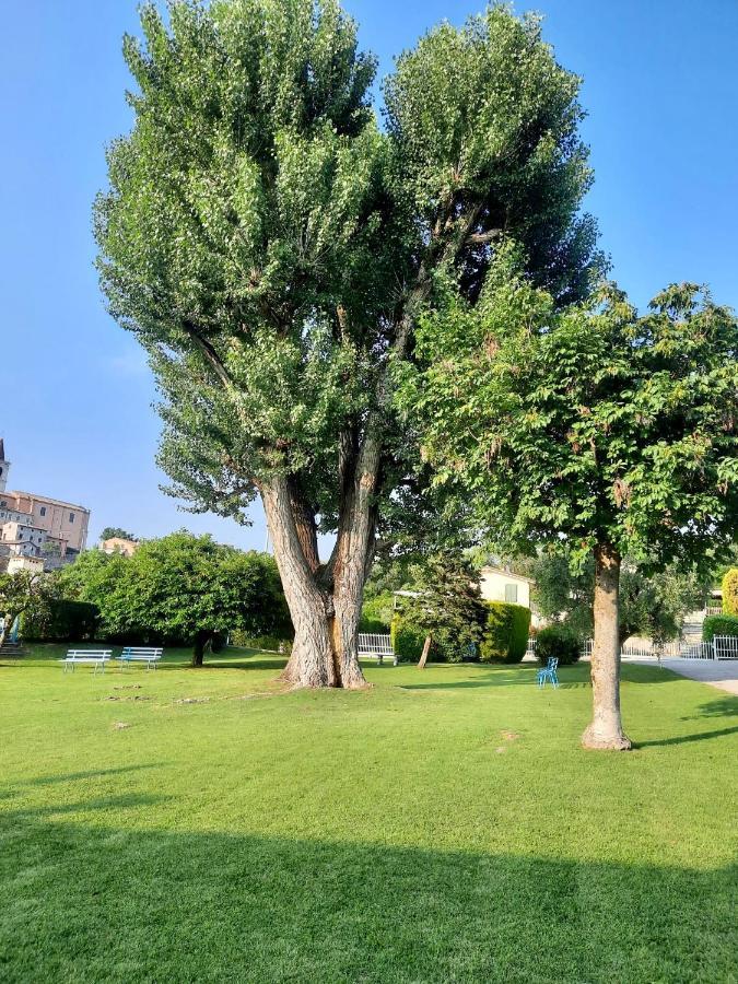 Residenza Palmira Bardolino Appartement Calmasino Buitenkant foto